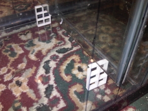Shims for support
