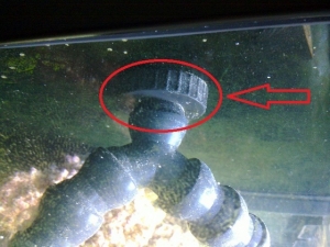 Pull off the two pieces that are attached to the ball on the disc circled, then dip (don't hold it in the water or it will get way too soft and you won't get a good fit) the bubble end in near-boiling water and pop it into the 3/4" LocLine. If you feel mo
