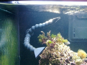 This is how I have the 2 end pieces set up in my tank from the Y on the left side.