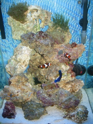 Mar 13, '09