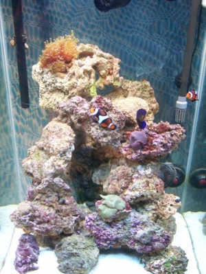 Feb 28, '09