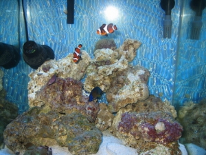 Feb 20, '09