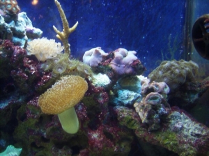 Upclose shot 3 - 3-20-10