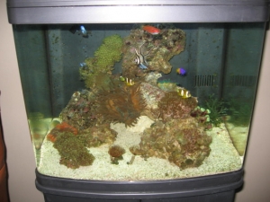 Tank at nearly 6 mons.