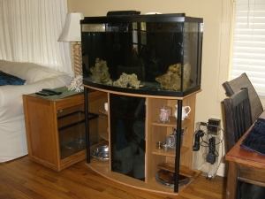 Shot of tank looking into the Living Room. 

See where the fuge will be on the right hand side. The back of the cart has hole drilled into it already and they are just above the rim of the 10gallon tank.