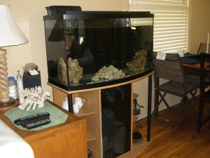 Shot of tank looking into the dining room.

The canopy I'm making will be onoe (or both) of the colors in the table, that was an ugly cheap Ikea table but I refinished to be something pretty.
