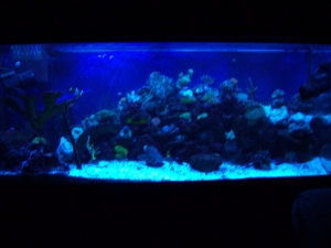 3-29-10 Update