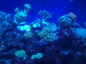 3-29-10 Update