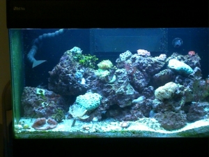 FTS 3/30/09