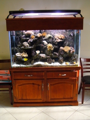 The Tank