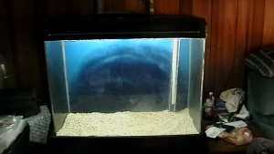 tank empty