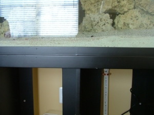 rsm250 tank bulge2