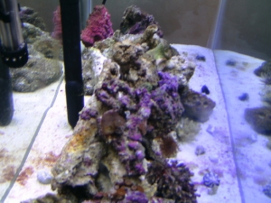 A Side View 3/31/10