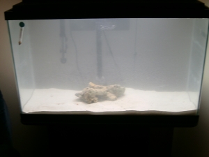Very First Night We Set Up 3/2/10