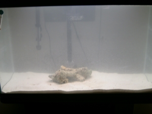 Live Rock, 25lbs Live Sand, and 25 Gallons Already Made Salt Water.