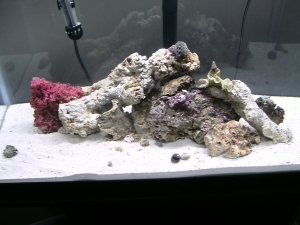 3/16/10