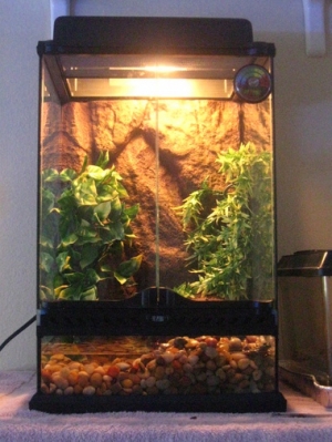 their new home *expensive*