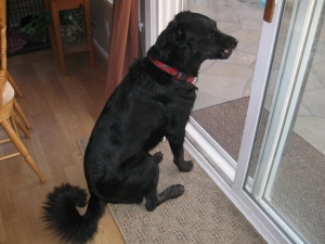 Parker