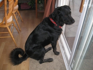 parker