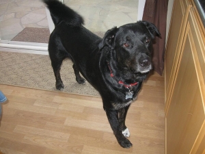 parker