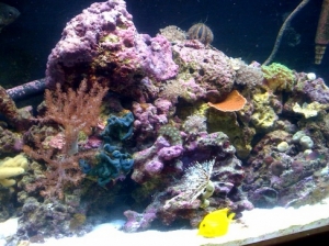 April 4-2010