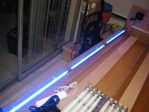 3 20" moonlight LED strips together lit up
