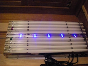 T5 fixtures have some LED lights also