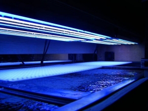 nice spectrum on T5 lights.