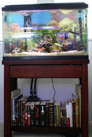 29 gal