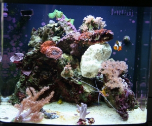 After xenia removal