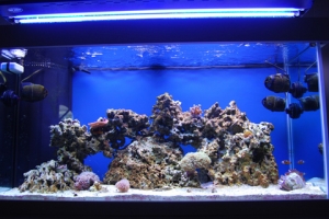 FTS