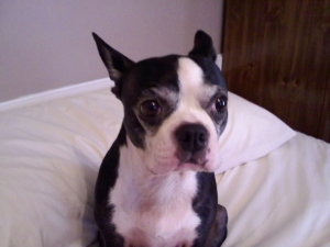 molly
