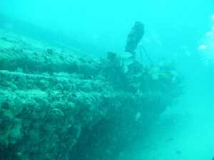 The Ancient Mariner