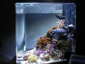 right side of tank w/ new 150w JBJ K-2 Viper