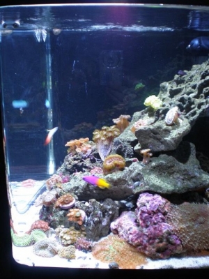 Right side of tank