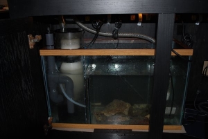 In stand sump