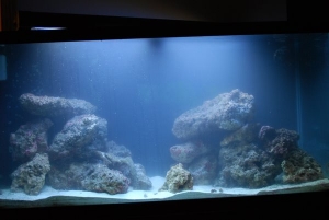 Just added the water and things are settling.