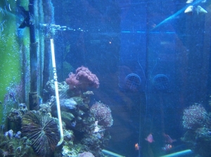w13