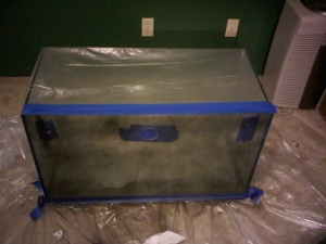 painting backside