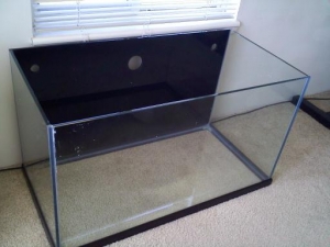 painted and drilled