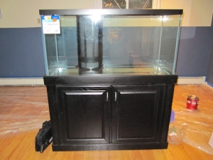 Stand when first bought