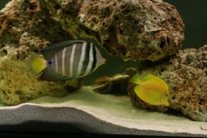 IMG 7671