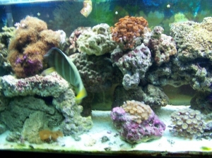125g