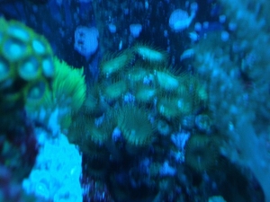 05 10 2010 (2)