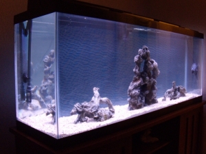 This was taken at the two month mark just before stocking tank.