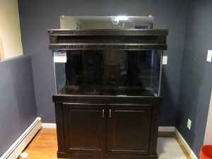 Tank in its final resting spot!