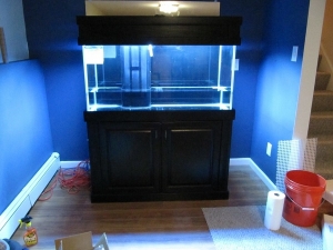 2/10th filled, with lights on