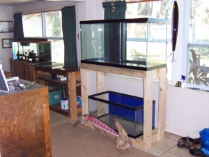 90 gal with 40 gal sump below