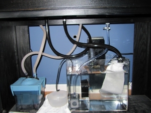 Under the tank. Black Tubes are drains, Clear is Return. White are from the canister filter. Slight drip at the moment... hopefully I'll be able to fix that with some Teflon tape.