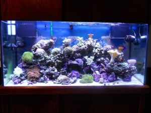 my 90 gallon